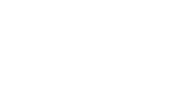 BC Partners-white