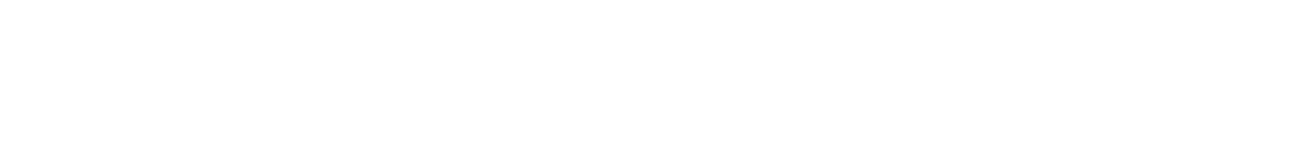 BC Partners-white