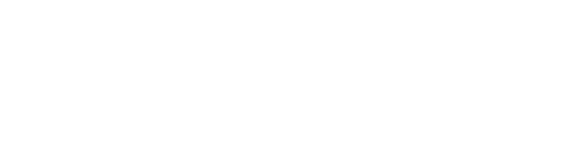 BC Partners-white